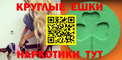 дмт Заводоуковск