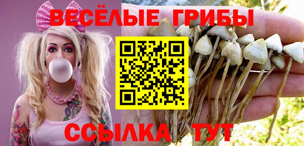 Галлюциногенные грибы прущие грибы Валуйки